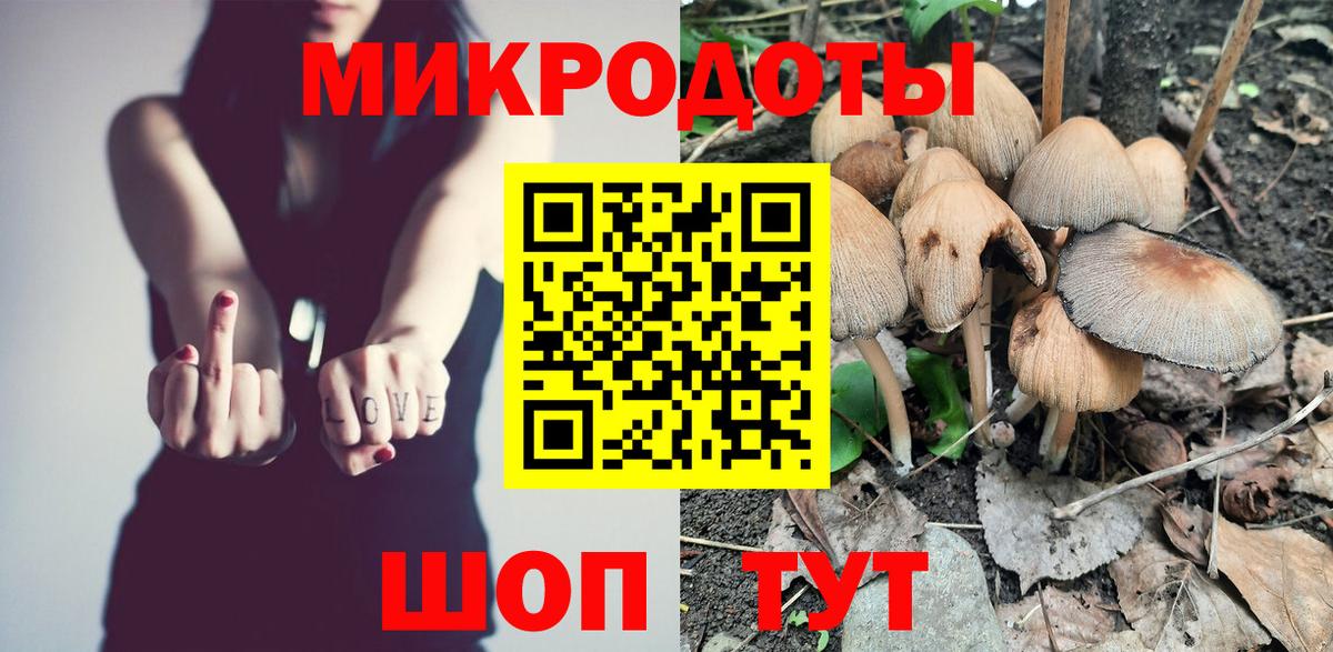 Псилоцибиновые грибы Cubensis  хочу   Электрогорск  Вход с VPN 